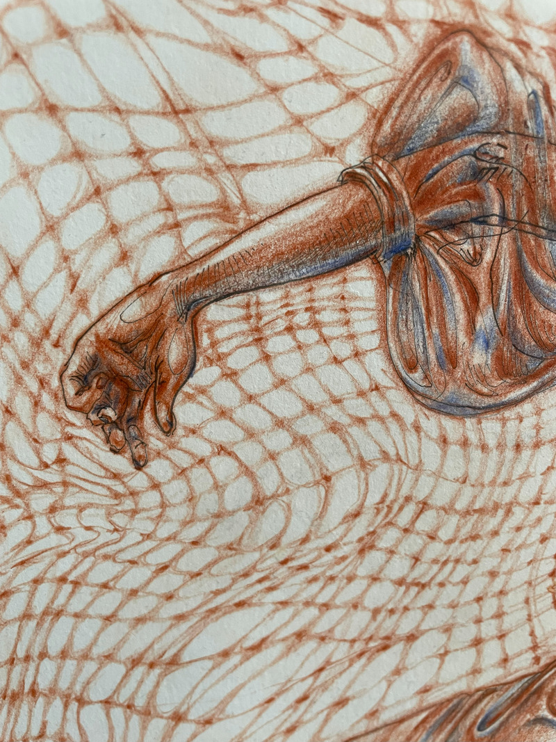 Freedom collection. Freefall