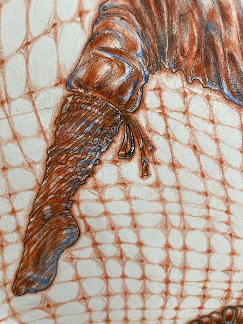 Freedom collection. Freefall