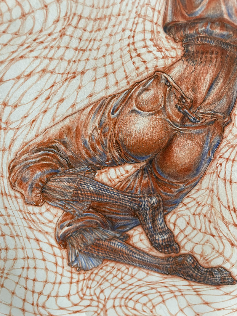 Freedom collection. Freefall